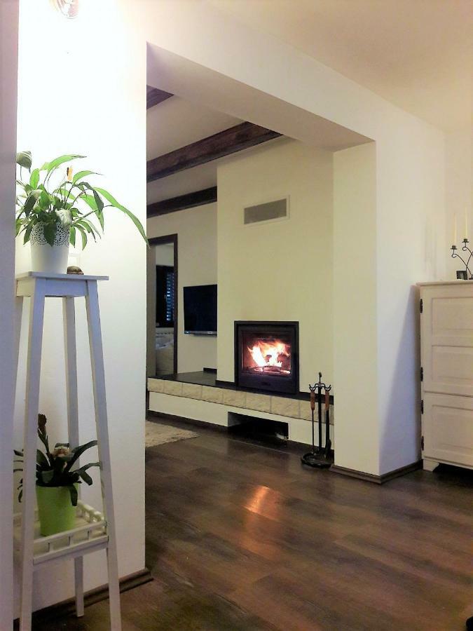 Spacious Apartment "Ana" On Lake Sabljaci Ogulin Eksteriør billede